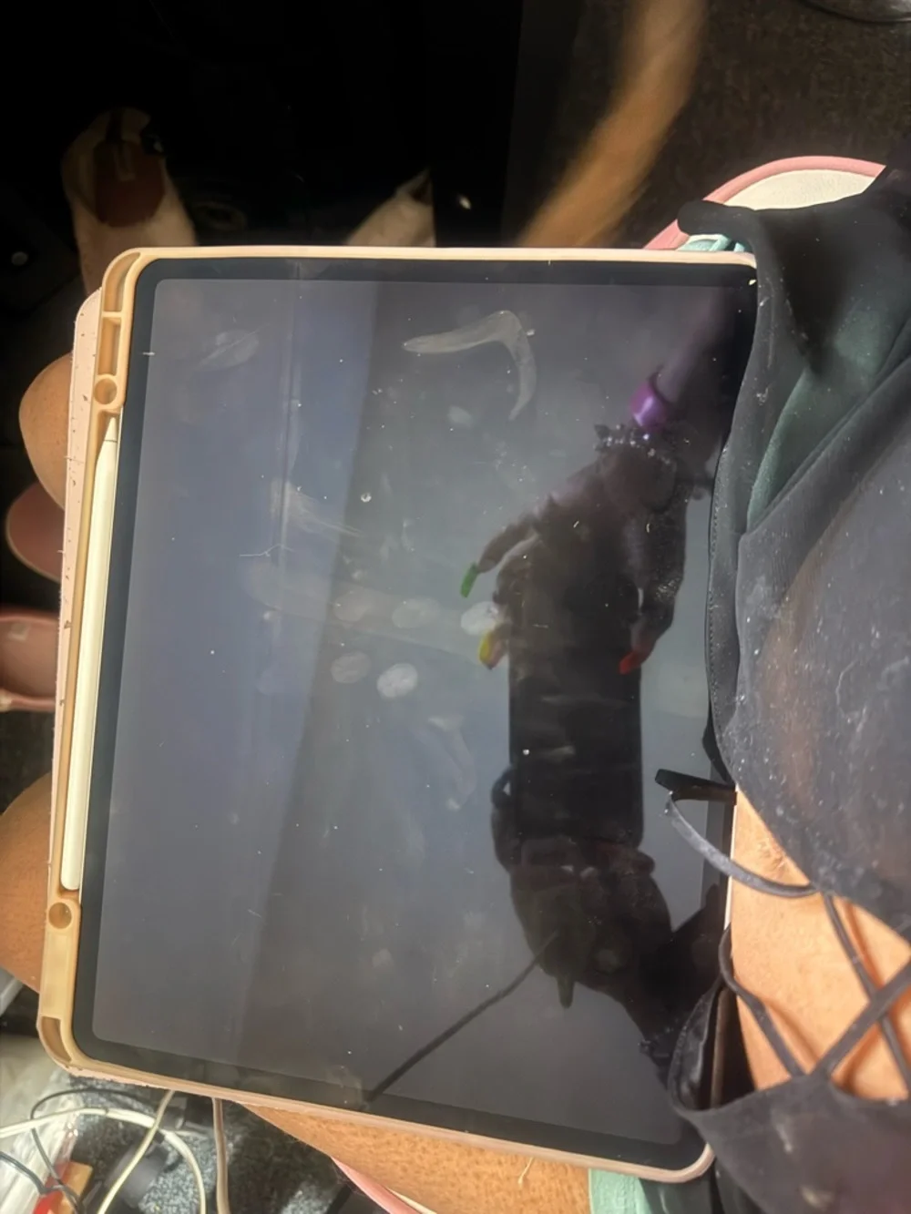 Apple iPad 6th gen 12.9 256 gb